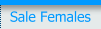 Sale Females